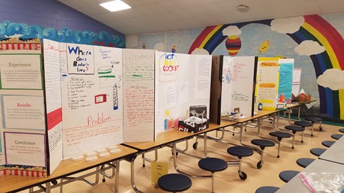 Science Fair Projects from the cafeteria