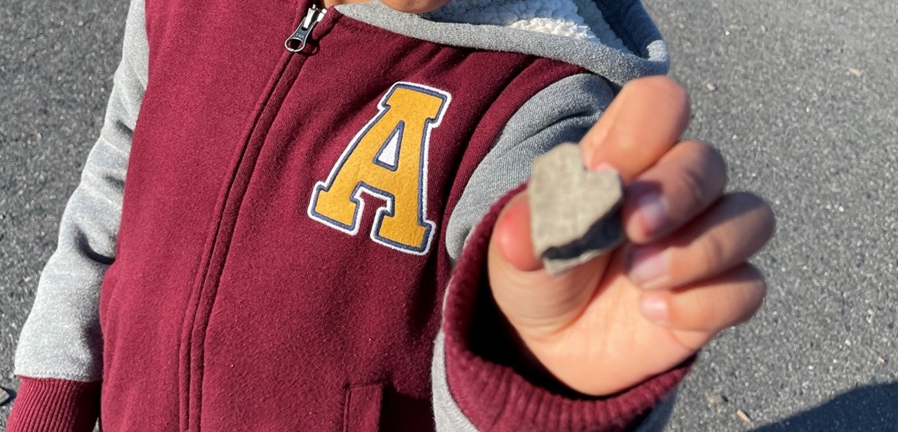 natural heart