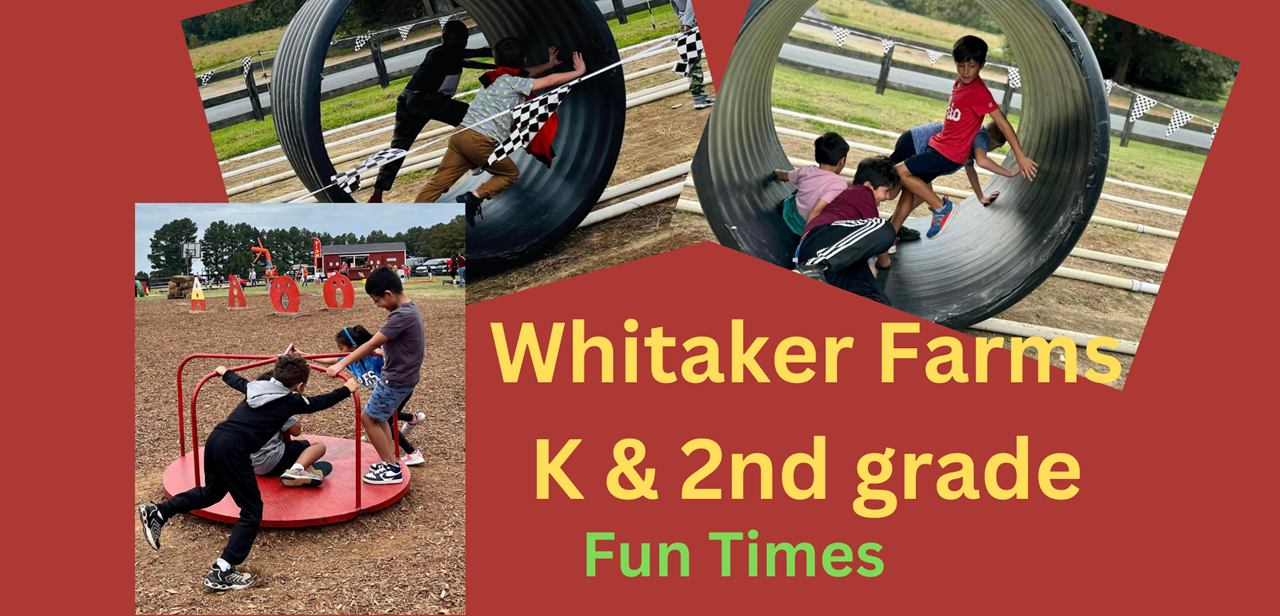 Whitaker Farms Fun