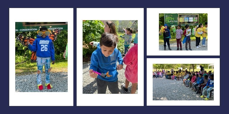 Collage of 4 pictures showing 2nd graders participating on a field trip to All A Flutter Butterfly farm. 