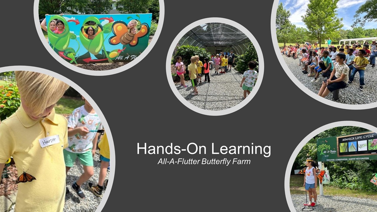 collage of 5 pictures showing 2nd graders visiting All-A-Flutter Butterfly farm. 